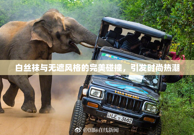 白丝袜与无遮风格的完美碰撞，引发时尚热潮