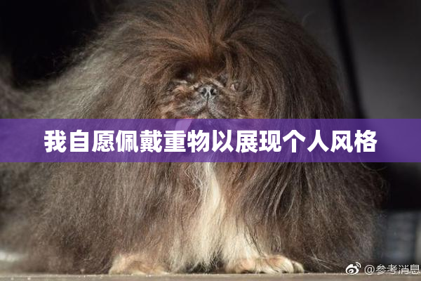 我自愿佩戴重物以展现个人风格
