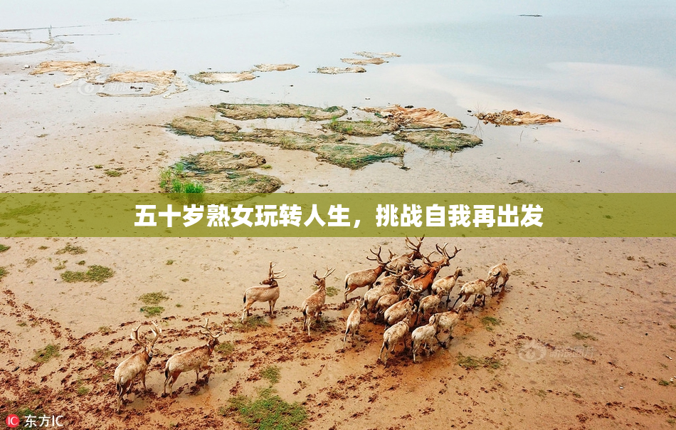 五十岁熟女玩转人生，挑战自我再出发