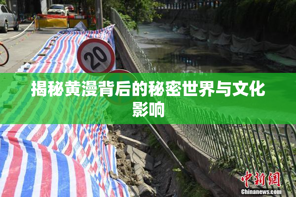 揭秘黄漫背后的秘密世界与文化影响