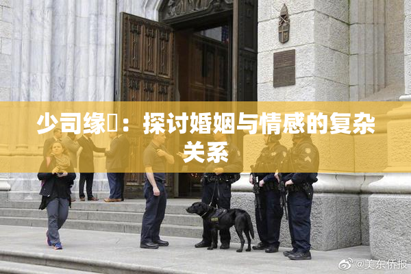 少司缘婬：探讨婚姻与情感的复杂关系
