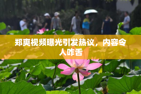 郑爽视频曝光引发热议，内容令人咋舌