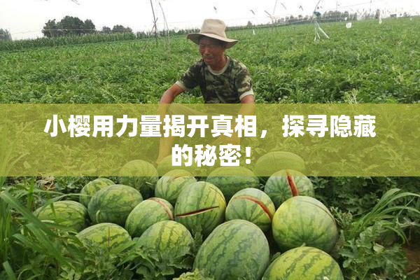 小樱用力量揭开真相，探寻隐藏的秘密！
