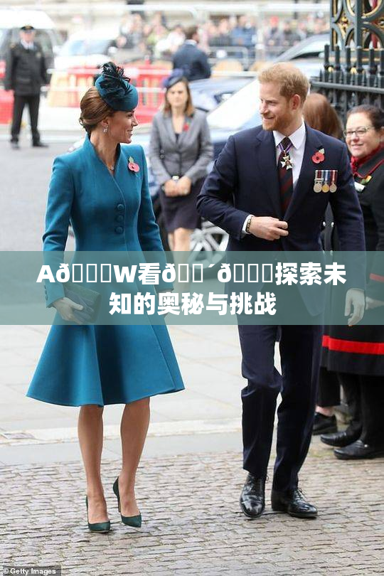 A🔞W看🔴🔞探索未知的奥秘与挑战