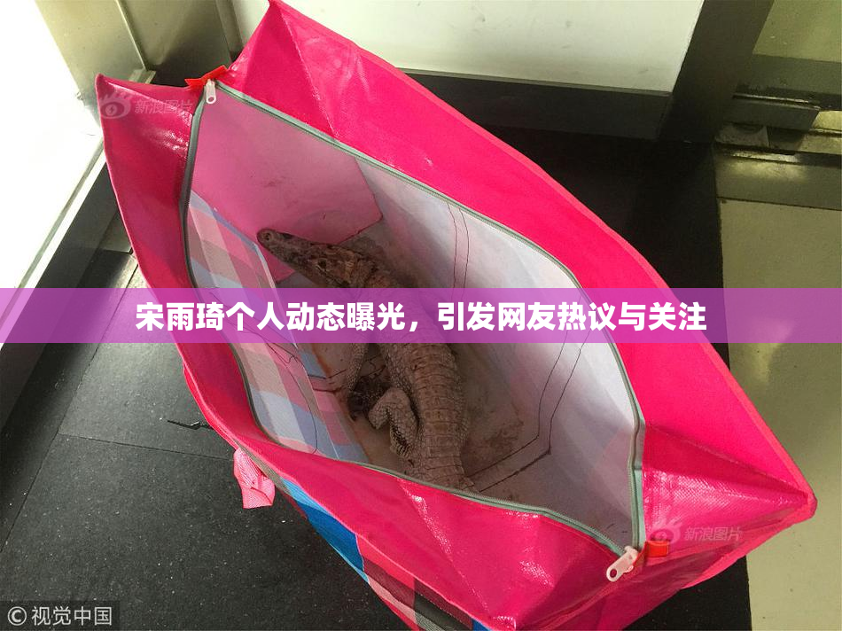 宋雨琦个人动态曝光，引发网友热议与关注