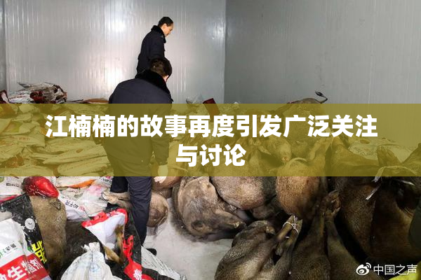 江楠楠的故事再度引发广泛关注与讨论