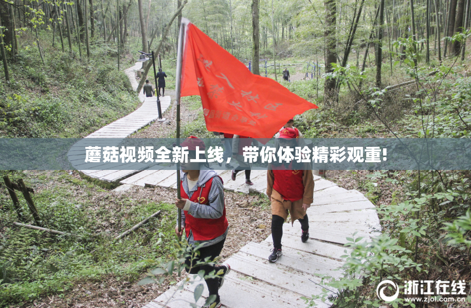 蘑菇视频全新上线，带你体验精彩观重!