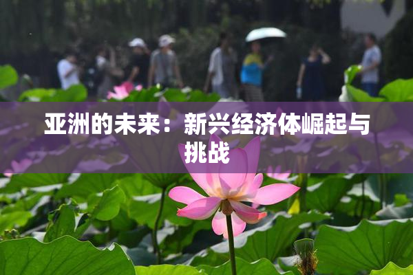 亚洲的未来：新兴经济体崛起与挑战