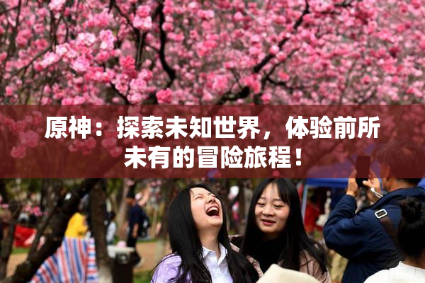 原神：探索未知世界，体验前所未有的冒险旅程！