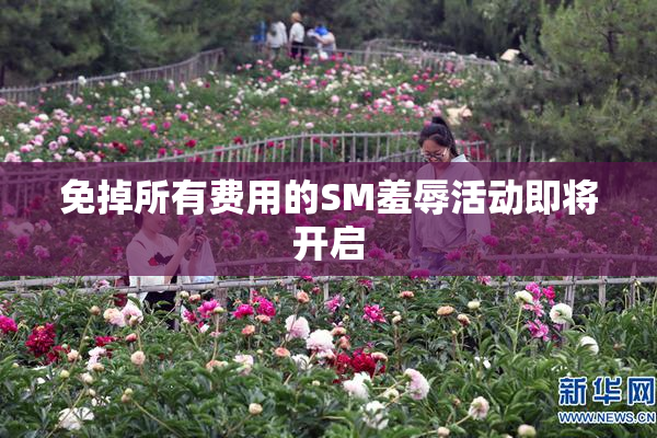 免掉所有费用的SM羞辱活动即将开启