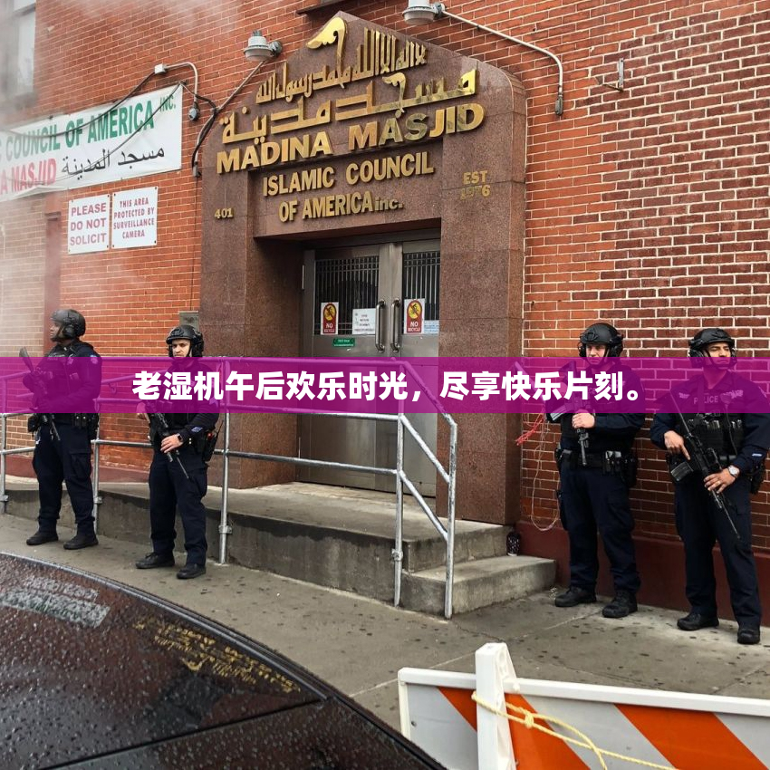 老湿机午后欢乐时光，尽享快乐片刻。