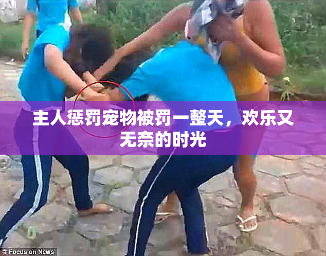 主人惩罚宠物被罚一整天，欢乐又无奈的时光