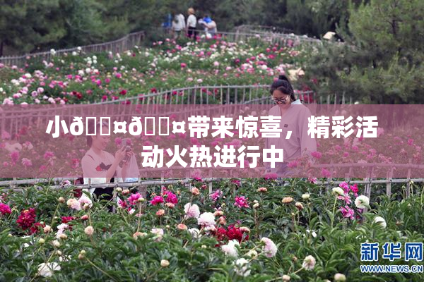 小🐤🐤带来惊喜，精彩活动火热进行中