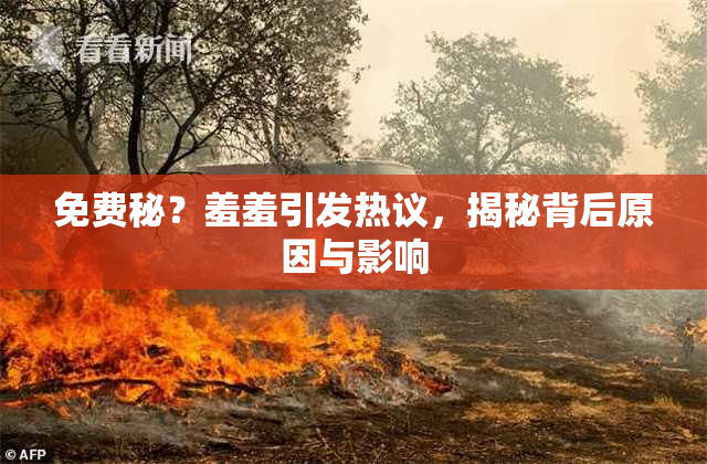 免费秘？羞羞引发热议，揭秘背后原因与影响