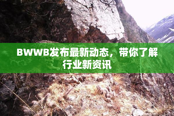 BWWB发布最新动态，带你了解行业新资讯