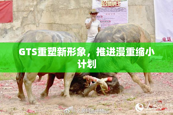 GTS重塑新形象，推进漫重缩小计划
