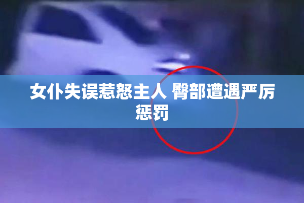 女仆失误惹怒主人 臀部遭遇严厉惩罚