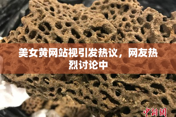 美女黄网站视引发热议，网友热烈讨论中