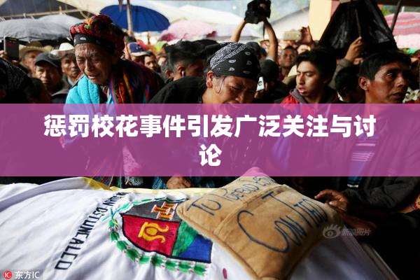 惩罚校花事件引发广泛关注与讨论