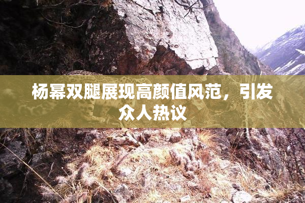 杨幂双腿展现高颜值风范，引发众人热议