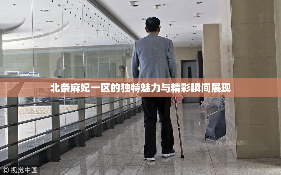 北条麻妃一区的独特魅力与精彩瞬间展现