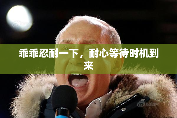 乖乖忍耐一下，耐心等待时机到来