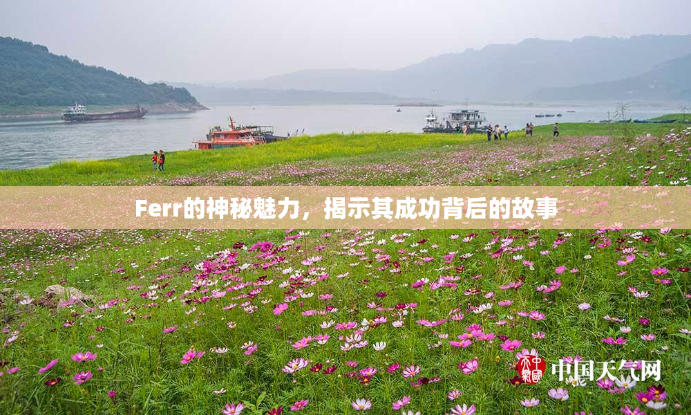 Ferr的神秘魅力，揭示其成功背后的故事