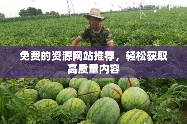 免费的资源网站推荐，轻松获取高质量内容