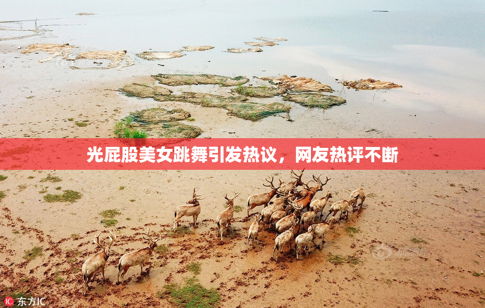 光屁股美女跳舞引发热议，网友热评不断
