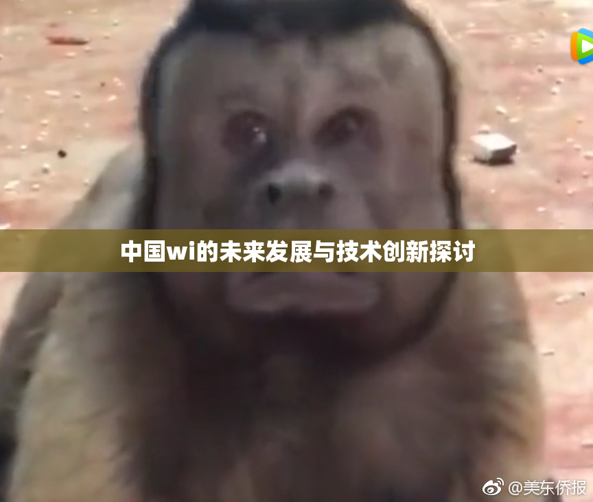 中国wi的未来发展与技术创新探讨