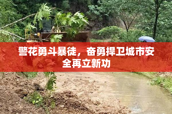 警花勇斗暴徒，奋勇捍卫城市安全再立新功