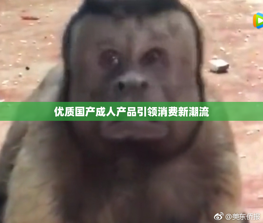 优质国产成人产品引领消费新潮流