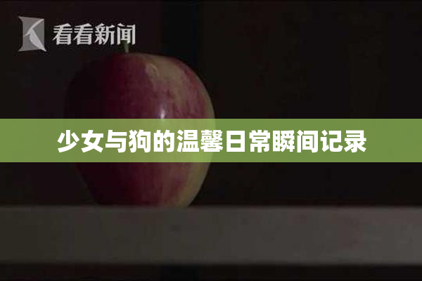 少女与狗的温馨日常瞬间记录