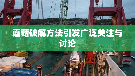 蘑菇破解方法引发广泛关注与讨论
