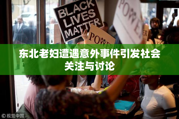 东北老妇遭遇意外事件引发社会关注与讨论