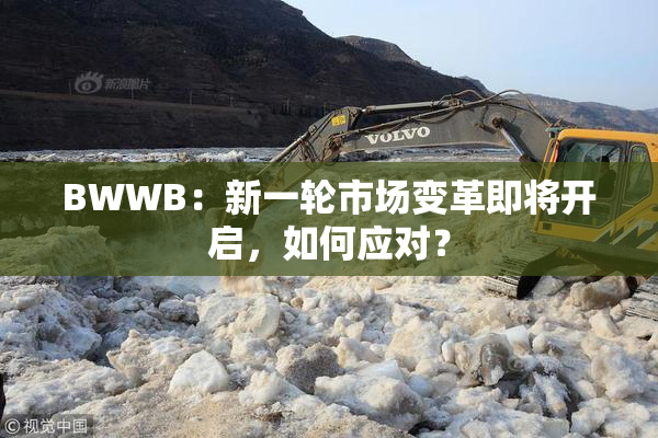 BWWB：新一轮市场变革即将开启，如何应对？
