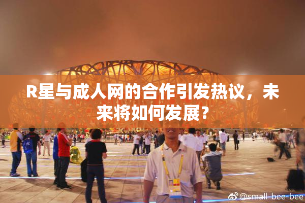 R星与成人网的合作引发热议，未来将如何发展？