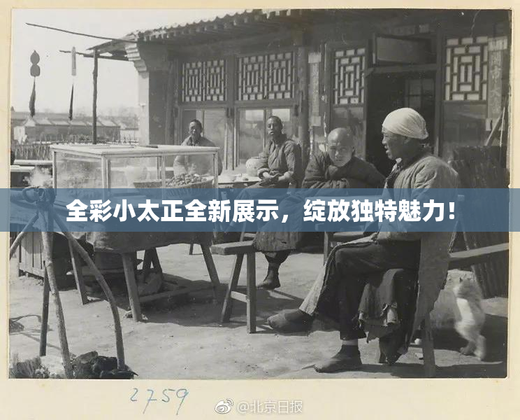全彩小太正全新展示，绽放独特魅力！
