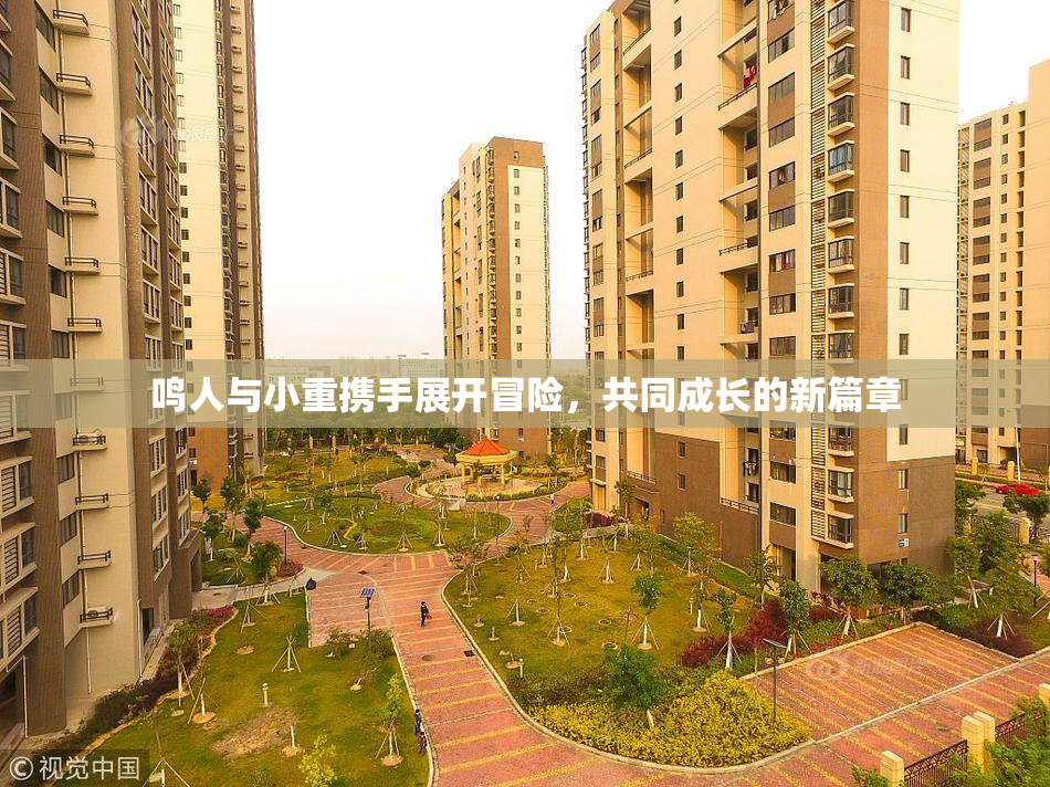 鸣人与小重携手展开冒险，共同成长的新篇章