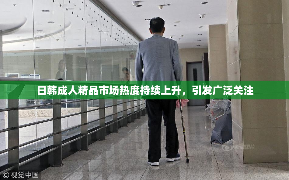 日韩成人精品市场热度持续上升，引发广泛关注