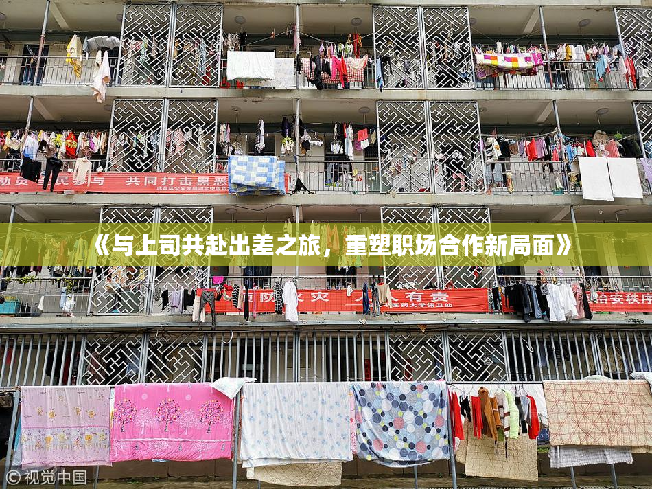 《与上司共赴出差之旅，重塑职场合作新局面》
