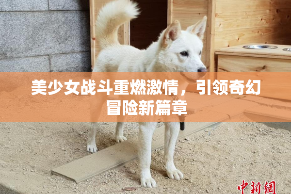 美少女战斗重燃激情，引领奇幻冒险新篇章