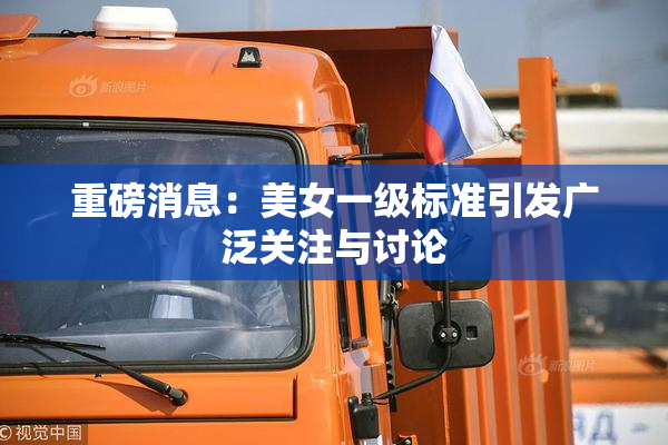 重磅消息：美女一级标准引发广泛关注与讨论