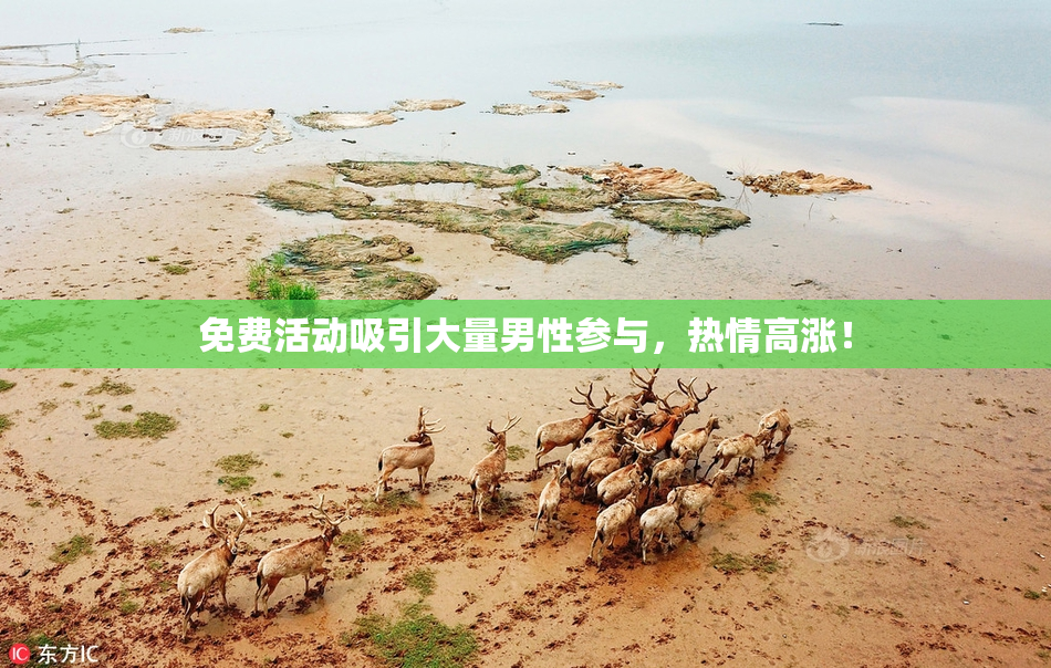 免费活动吸引大量男性参与，热情高涨！