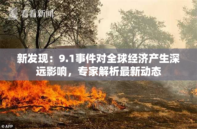 新发现：9.1事件对全球经济产生深远影响，专家解析最新动态