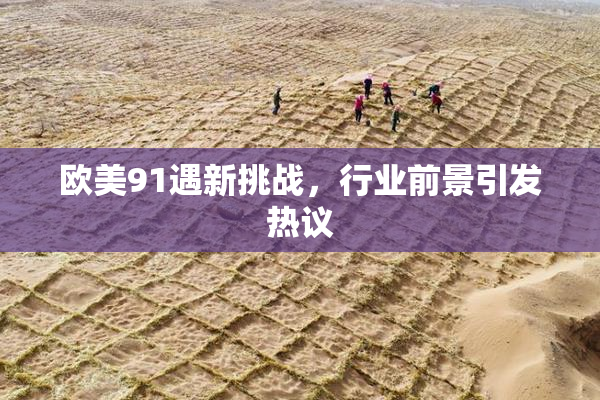 欧美91遇新挑战，行业前景引发热议
