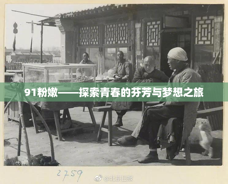 91粉嫩——探索青春的芬芳与梦想之旅