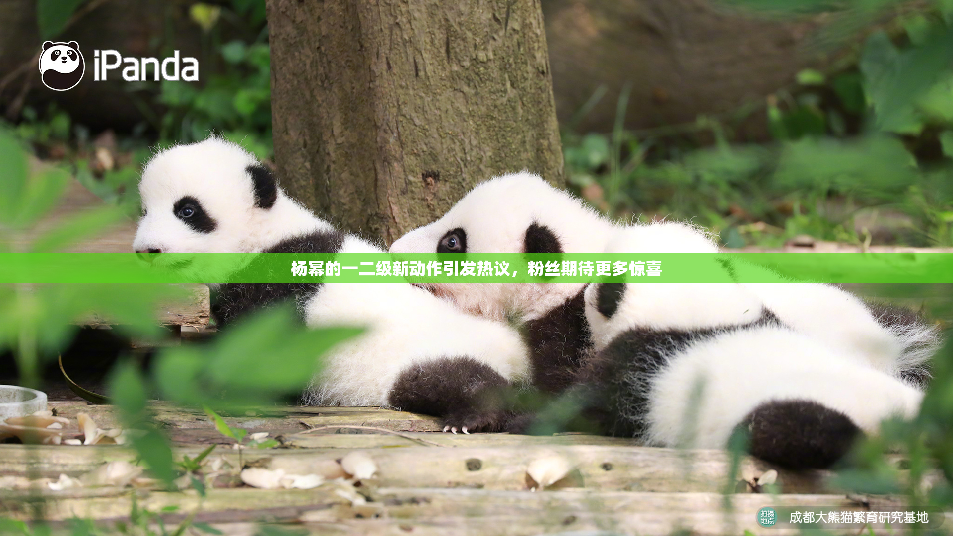 杨幂的一二级新动作引发热议，粉丝期待更多惊喜