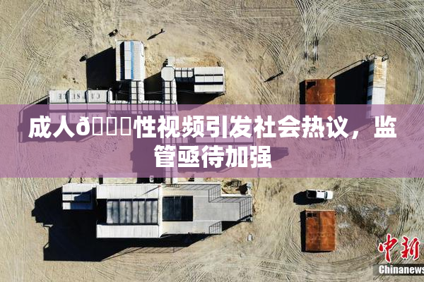 成人🔞性视频引发社会热议，监管亟待加强