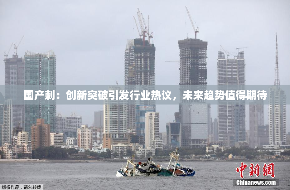 国产刺：创新突破引发行业热议，未来趋势值得期待